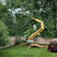 Best Lawn Maintenance Plans  in Denison, TX